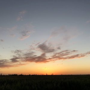 夕阳